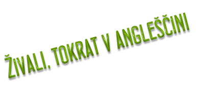Živali, tokrat v angleščini
