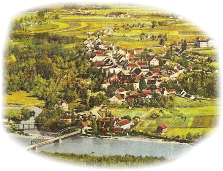 Brezice.png