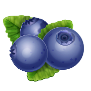 BOROVNICA.png