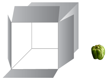 11.png