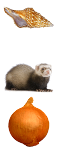 29.png