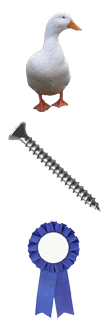 41.png