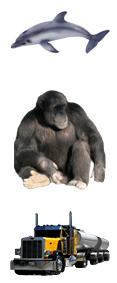 46.png