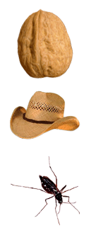 47.png