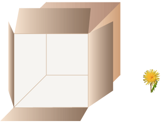 5.png