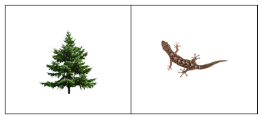 65.png