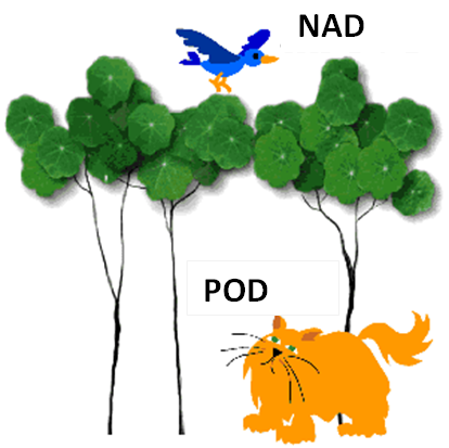 nad_pod.png