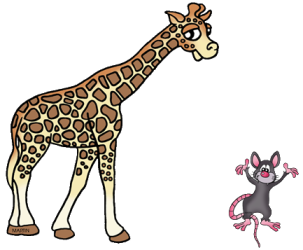 21.png