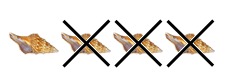 6 6.png