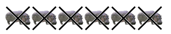 205.png