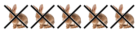 215.png