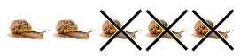5 5.png