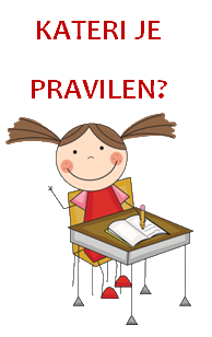 Kateri_je_pravilen.png