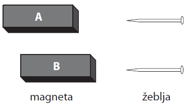 neziva_7.png