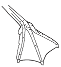 zivanarava_11_4.png