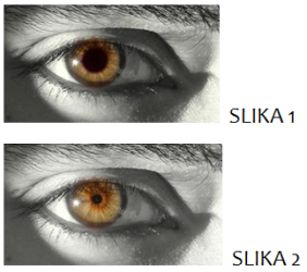 zivanarava_8.png