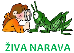Živa narava