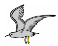 galeb galeb.gif